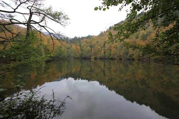 Taman Nasional Yedigoller Musim Gugur — Stok Foto