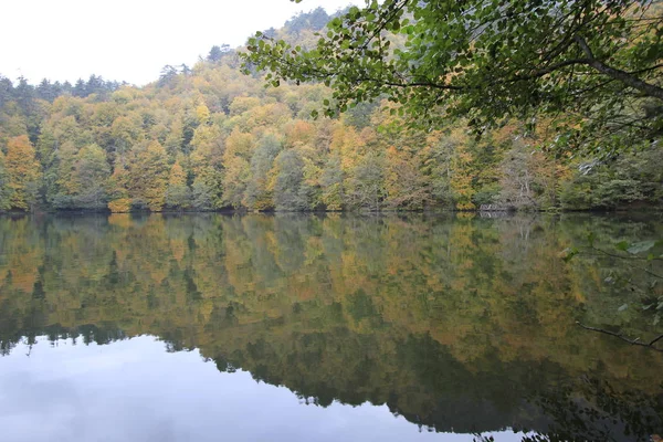 Yedigoller Nationalpark Herbst — Stockfoto