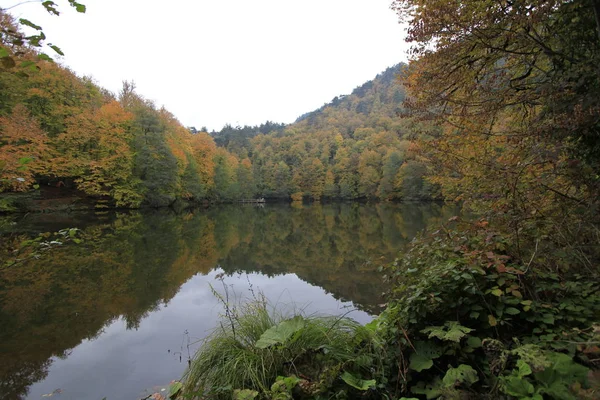 Park Narodowy Yedigoller Jesienią — Zdjęcie stockowe