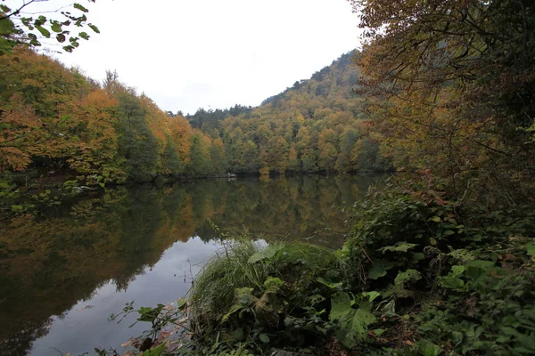 秋のイエディゴラー国立公園 — ストック写真