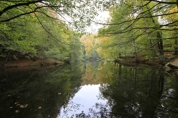 Yedigoller Nemzeti Park Ősszel — Stock Fotó