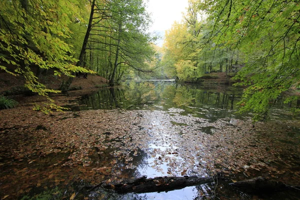 가을의 예디골러 국립공원 — 스톡 사진