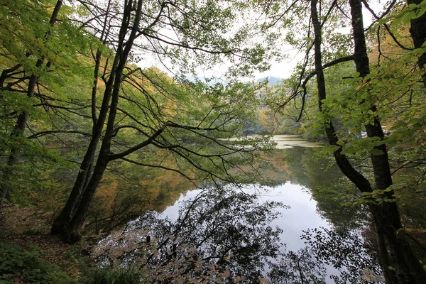 가을의 예디골러 국립공원 — 스톡 사진