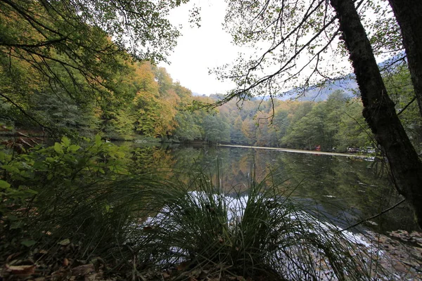 Yedigoller Nemzeti Park Ősszel — Stock Fotó