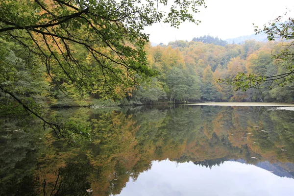 Park Narodowy Yedigoller Jesienią — Zdjęcie stockowe