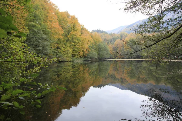 Yedigoller Nemzeti Park Ősszel — Stock Fotó