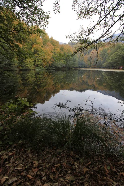 Sonbaharda Yedigöller Milli Parkı — Stok fotoğraf