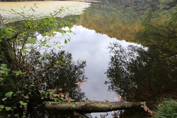 Yedigoller Nationalpark Herbst — Stockfoto