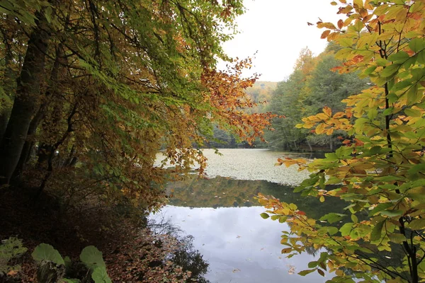 Parco Nazionale Yedigoller Autunno — Foto Stock