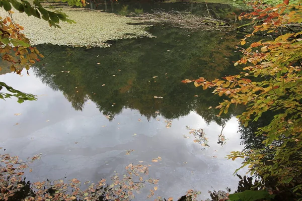 Yedigoller National Park Herfst — Stockfoto