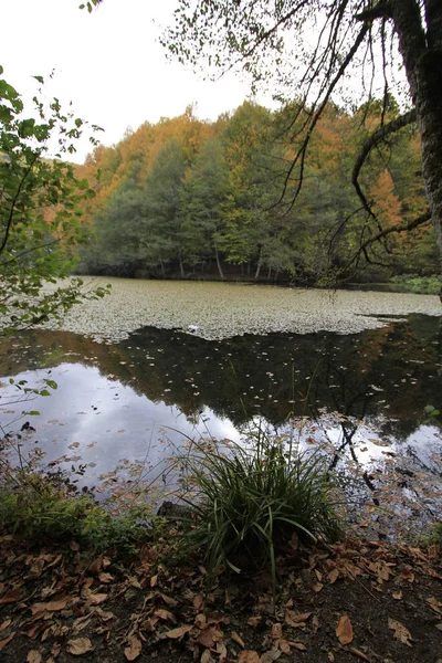 Parque Nacional Yedigoller Otoño — Foto de Stock