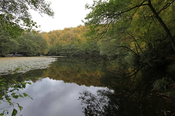 Park Narodowy Yedigoller Jesienią — Zdjęcie stockowe