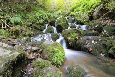 Sonbaharda Yedigöller Milli Parkı