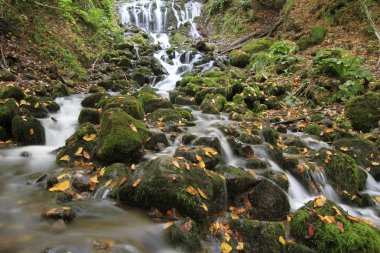 Sonbaharda Yedigöller Milli Parkı