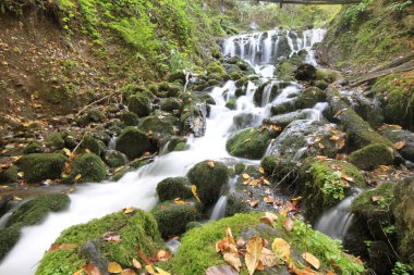 Sonbaharda Yedigöller Milli Parkı