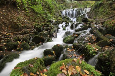 Sonbaharda Yedigöller Milli Parkı