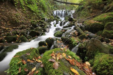 Sonbaharda Yedigöller Milli Parkı