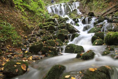 Sonbaharda Yedigöller Milli Parkı