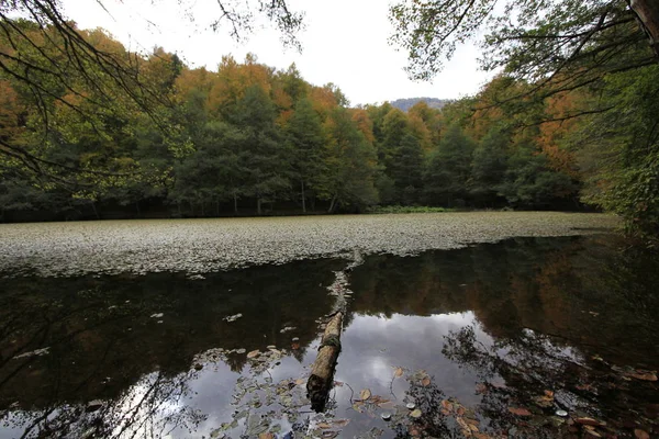 Yedigoller Nemzeti Park Ősszel — Stock Fotó