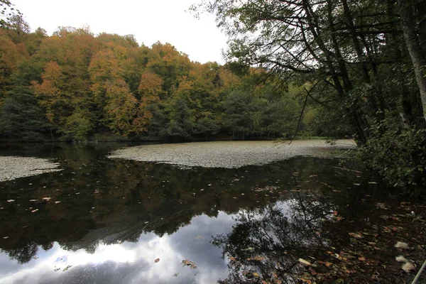 Taman Nasional Yedigoller Musim Gugur — Stok Foto