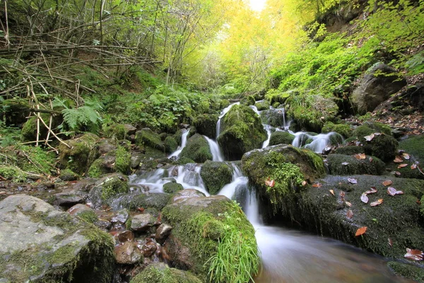 Yedigoller Nationalpark Hösten — Stockfoto