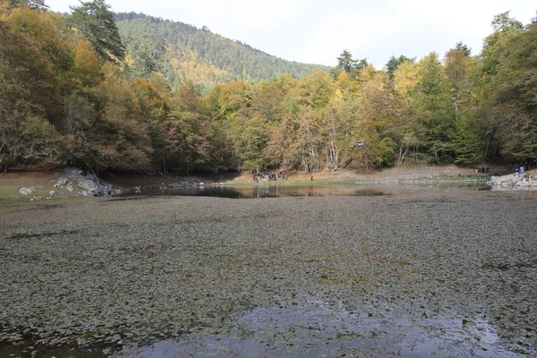 Parco Nazionale Yedigoller Autunno — Foto Stock