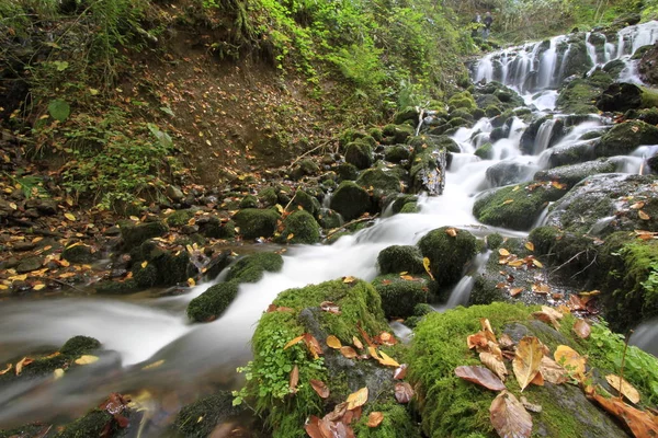 Sonbaharda Yedigöller Milli Parkı