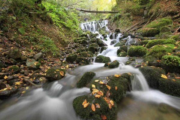 Yedigoller National Park Autumn — Stock Photo, Image