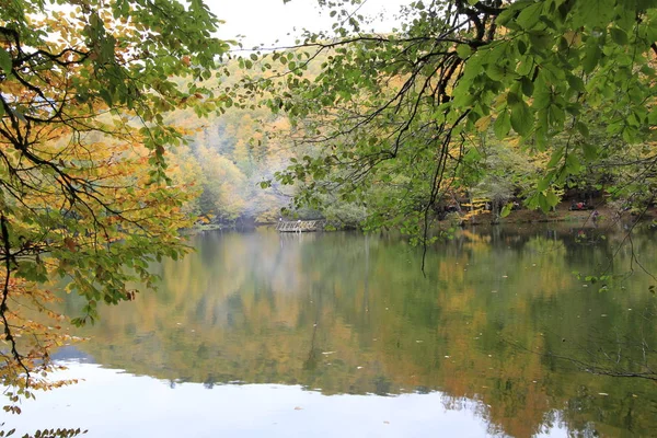 Sonbaharda Yedigöller Milli Parkı