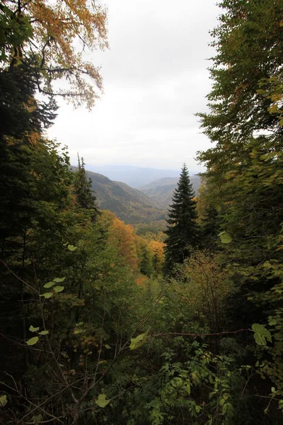 Yedigoller Nemzeti Park Ősszel — Stock Fotó