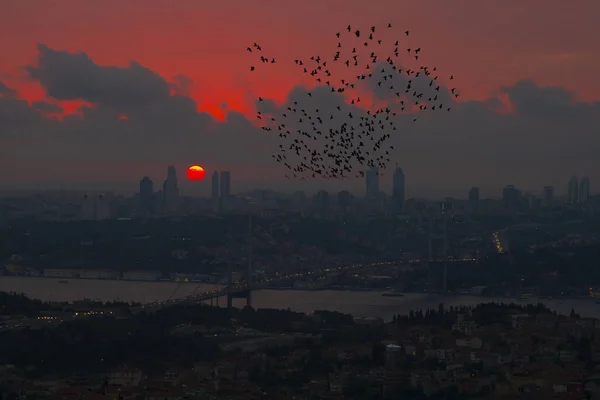 Jembatan Bosporus Dan Istanbul Skyline — Stok Foto