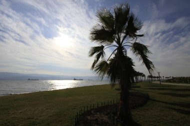 Ahşap Yol Seka Park zmit, Türkiye