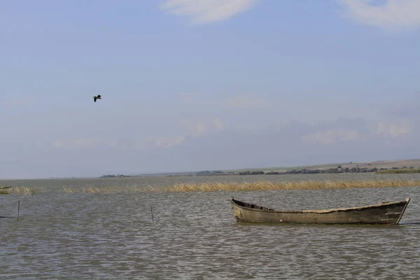 Altes Boot Und Landschaft — Stockfoto