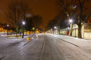 Mehmet Akif Ersoy Parkı'ndan Mavi Cami