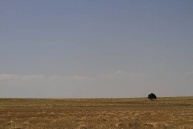 Tuz Gölü ve gün batımı / Ankara
