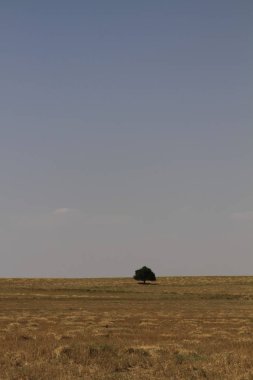 Tuz Gölü ve gün batımı / Ankara