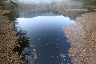Yedigoller Ulusal Parkı, Sonbahar manzarası. Bolu, Türkiye