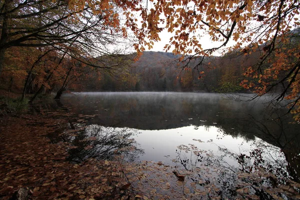 Национальный Парк Едигольер Осенний Вид Болу Турция — стоковое фото