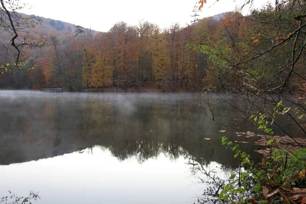 Yedigoller Nemzeti Park Őszi Panoráma Bolu Törökország — Stock Fotó