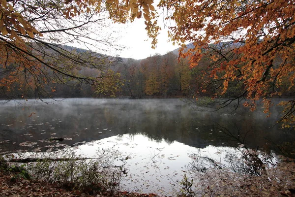 Yedigoller Nemzeti Park Őszi Panoráma Bolu Törökország — Stock Fotó