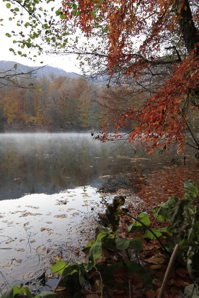 Yedigoller Nationalpark Höstutsikt Bolu Turkiet — Stockfoto