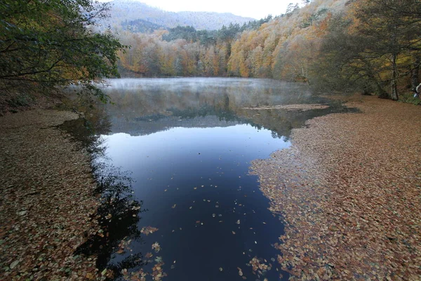 Yedigoller Nationalpark Höstutsikt Bolu Turkiet — Stockfoto