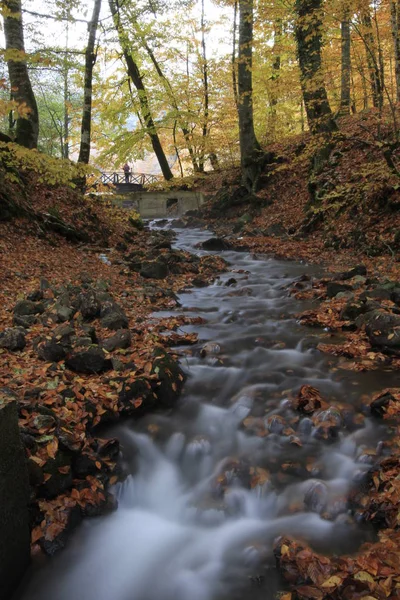 Park Narodowy Yedigoller Jesienne Widoki Bolu Turcja — Zdjęcie stockowe