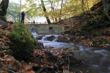 Yedigoller Ulusal Parkı, Sonbahar manzarası. Bolu, Türkiye