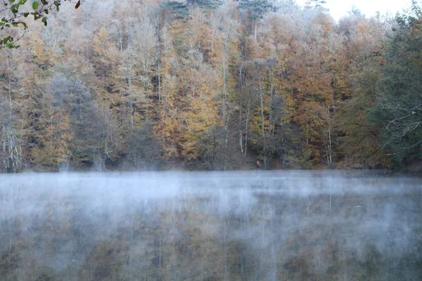 Yedigoller National Park Autumn Views Bolu Turkey — Stock Photo, Image