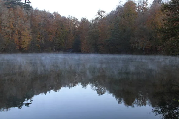 Parc National Yedigoller Vue Automne Bolu Turquie — Photo