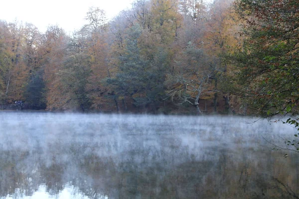 Národní Park Yedigoller Podzimní Výhledy Bolu Turecko — Stock fotografie