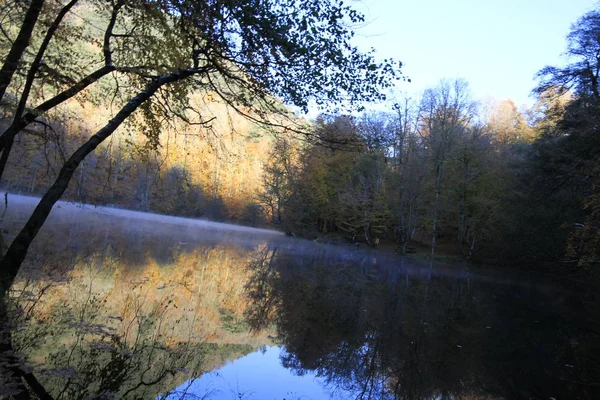 Yedigoller Nemzeti Park Őszi Panoráma Bolu Törökország — Stock Fotó