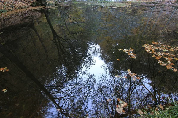 Parque Nacional Yedigoller Vistas Otoño Bolu Turquía — Foto de Stock