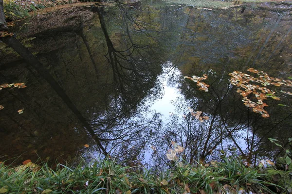 Parque Nacional Yedigoller Vistas Otoño Bolu Turquía — Foto de Stock